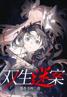 雙生謎案： 封面