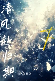 清風赴歸期 封面