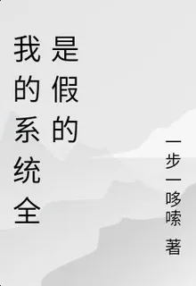 我的系統全是假的 封面