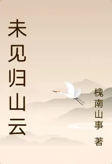 未見歸山雲 封面
