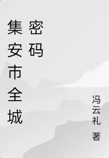 集安市全城密碼 封面