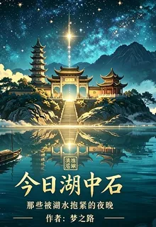 今日湖中石 封面