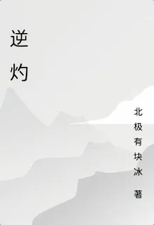 逆灼 封面