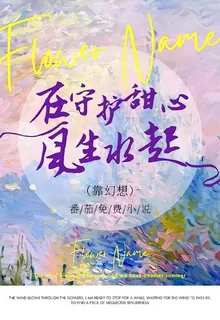 在守護甜心裏風生水起之後 封面