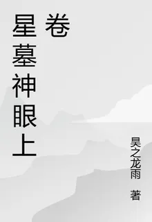 星墓神眼上卷 封面