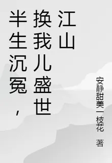 半生沉冤，換我兒盛世江山 封面