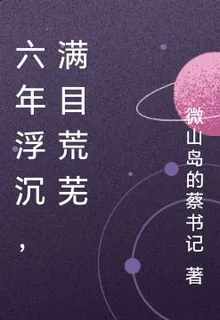 六年浮沉，滿目荒蕪 封面