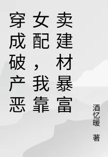 穿成破產惡女配，我靠賣建材暴富 封面