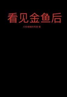 看見金魚後 封面