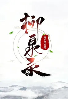 柳泉錄 封面
