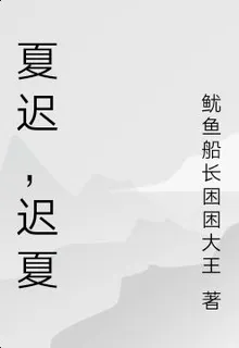 夏遲，遲夏 封面