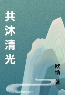 共沐清光 封面