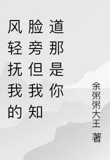 風輕撫我的臉旁但我知道那是你 封面