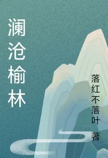 瀾滄榆林 封面