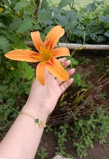 去往幽冥 封面