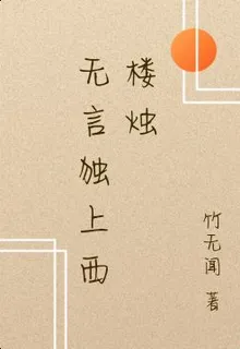 無言獨上西樓燭 封面