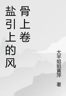 鹽引上的風骨上卷 封面