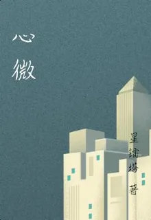 心微 封面
