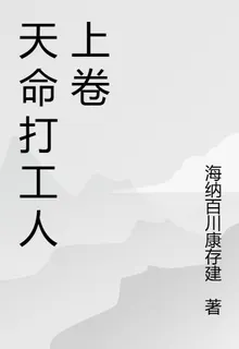 天命打工人上卷 封面