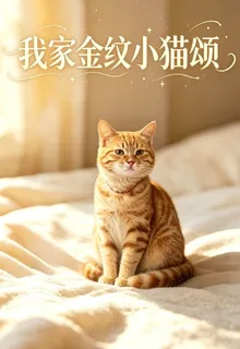 我家金紋小貓頌 封面