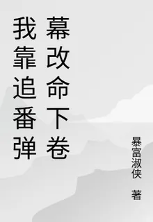 我靠追番彈幕改命下卷 封面