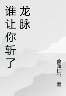 誰讓你斬了龍脈 封面