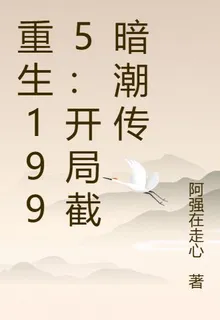 重生1995：開局截暗潮傳 封面