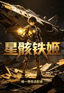 星骸鐵姬 封面