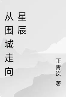 從圍城走向星辰 封面