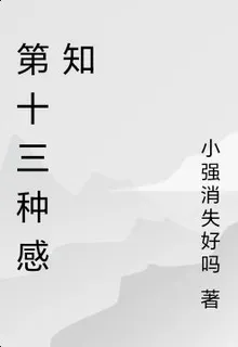 第十三種感知 封面