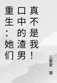 重生：她們口中的渣男真的不是我 封面