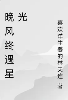 晚風終遇星光 封面
