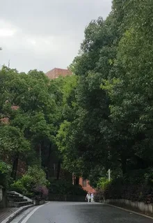 春深花未眠 封面