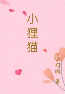 小狸貓 封面