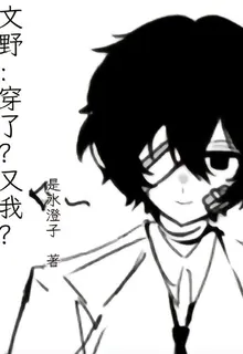 文野：穿了？又我？ 封面