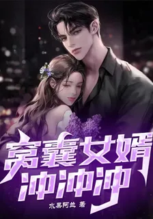 窩囊女婿沖沖衝 封面
