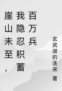 崖山未至，我隱忍積蓄百萬兵 封面