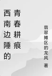 西南邊陲的青春耕痕 封面