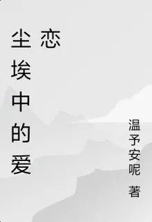 塵埃中的愛戀 封面