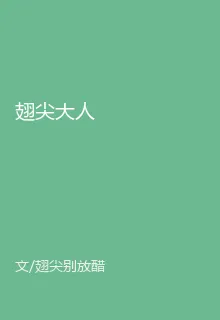 翅尖大人 封面
