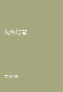 角色過載 封面
