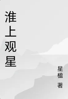 淮上觀星 封面