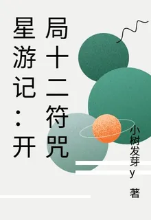 星遊記：開局十二符咒 封面