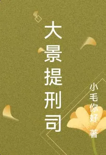 大景提刑司 封面