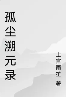 孤塵溯元錄 封面