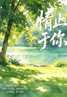 情止於你 封面