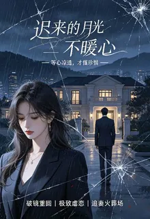 遲來的月光不暖心 封面