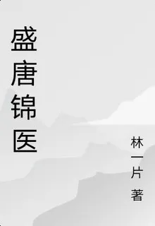 盛唐錦醫 封面