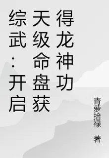 綜武：開啓天級命盤獲得龍神功 封面