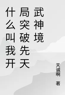 什麼叫我開局突破先天武神境 封面